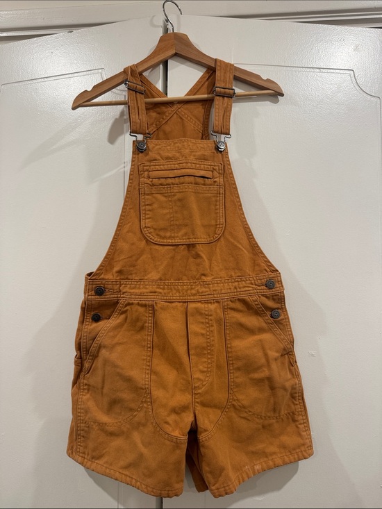 Patagonia Pants - Patagonia rust Organic Cotton Overalls